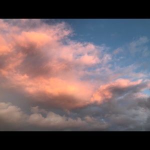 Meet your Posher, Gracelyn